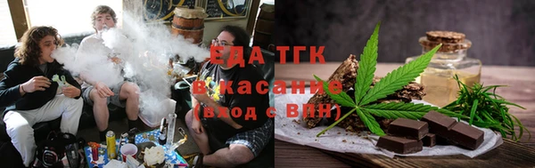 индика Богородицк