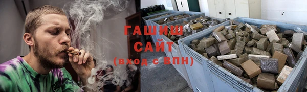 индика Богородицк