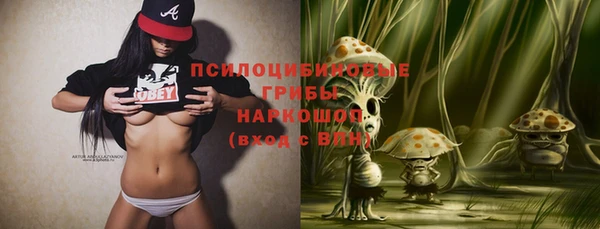 а пвп мука Богданович
