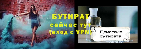 индика Богородицк