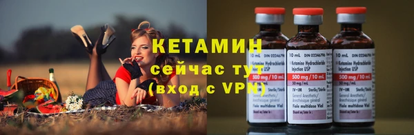 индика Богородицк