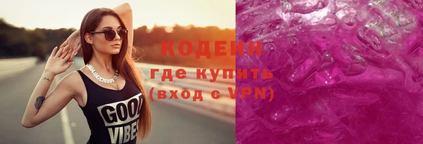 индика Богородицк