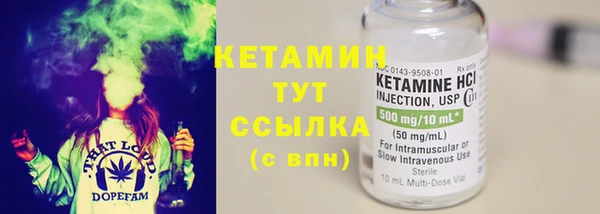 индика Богородицк