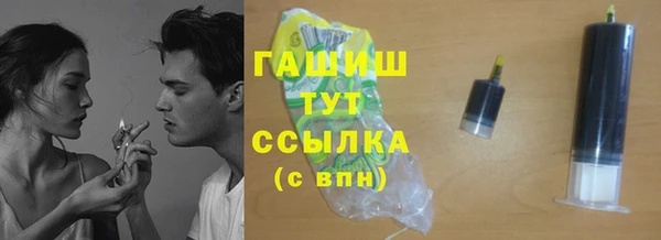 индика Богородицк
