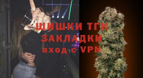 индика Богородицк