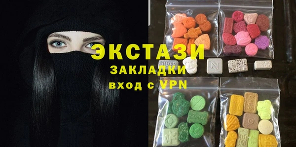 индика Богородицк