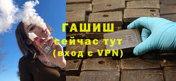 индика Богородицк