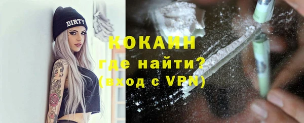 индика Богородицк